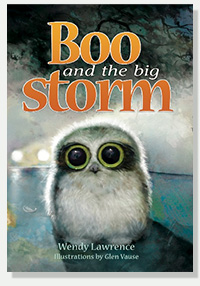 Boo and the Big Storm by Wendy Lawrence