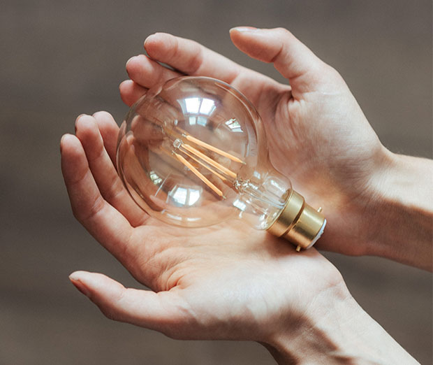 Hands holding a light globe